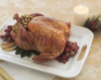 Holiday Turkey